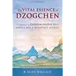 Shambhala The Vital Essence of Dzogchen, by B. Alan Wallace