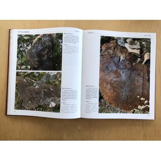 Sichuan Nationalities Publishing House Collection of Tibetan Fine Art (34): Rock Painting - Petroglyph 2