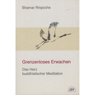 Joy Verlag Grenzenloses Erwachen: Das Herz Buddhistischer Meditation, von Shamar Rinpoche