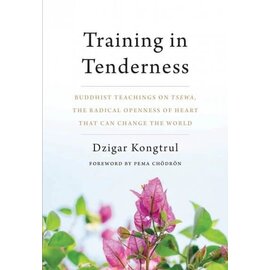 Shambhala Training in Tenderness, by Dzigar Kongtrul
