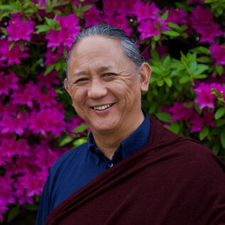 Shambhala Training in Tenderness, by Dzigar Kongtrul
