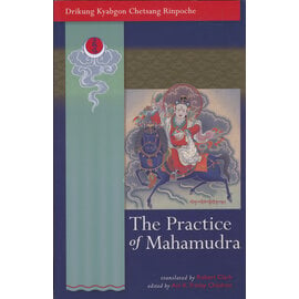 Snow Lion Publications The Practice of Mahamudra, by Drikung Kyabgon Cetsang Rinpoche