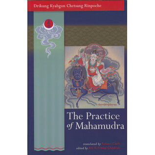 Snow Lion Publications The Practice of Mahamudra, by Drikung Kyabgon Cetsang Rinpoche