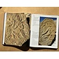 Sichuan Nationalities Publishing House Collection of Tibetan Fine Art (50): Sculptural Art Stone Carving 3
