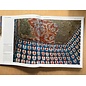 Sichuan Nationalities Publishing House Collection of Tibetan Fine Art (49): Painting Art Murals mNga' ris 1