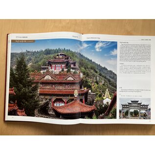 Sichuan Nationalities Publishing House Collection of Tibetan Fine Art (47): Monastery Architecture, Gansu + Qinghai