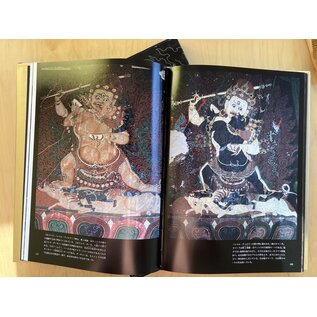 Shogakukan, Tokyo Tibet: Highland World of Extreme, by Matsumoto Eichi
