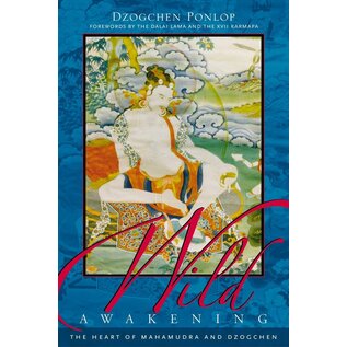 Shambhala Wild Awakening: The Heart of Mahamudra and Dzogchen, by Dzogchen Ponlop