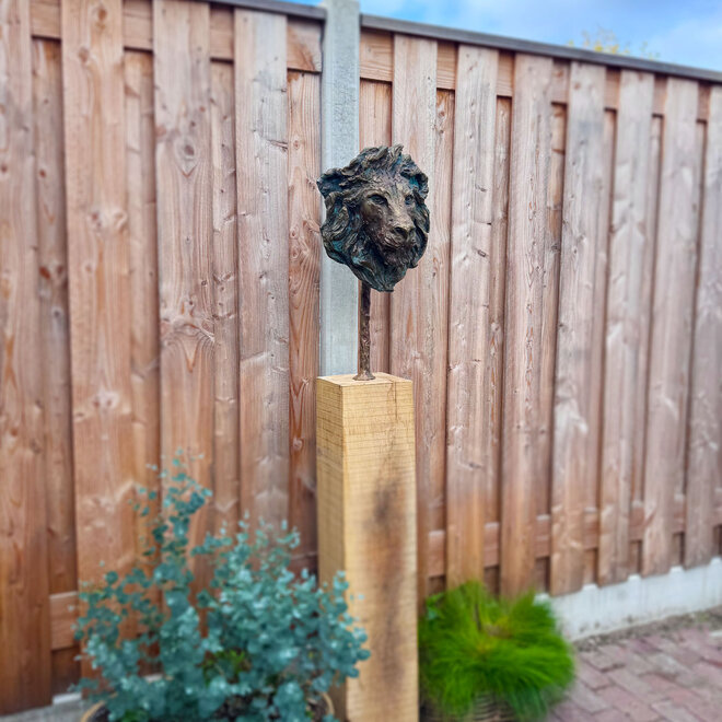 Bronze - Bust of Lion's head on support - Rick Triest - 38hx30wx24d cm - op eikensokkel 100cm