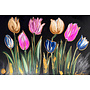 Painting - 80x120 cm - Rick Triest - kleurrijke tulpen - Black & Gold #2