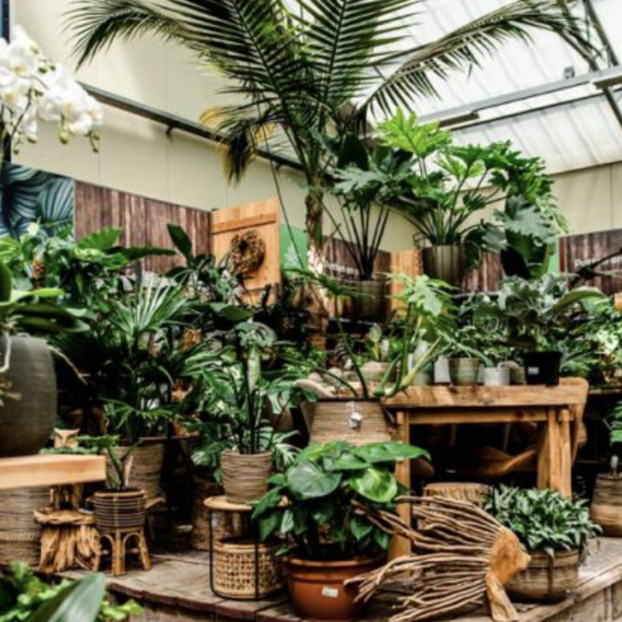 Samenwerking met Global Garden Zwaanshoek