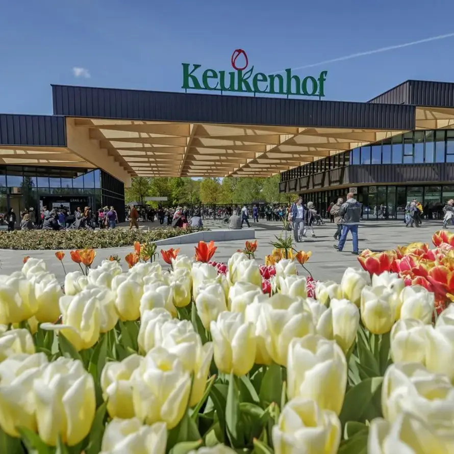 Designed by Rick Triest at Keukenhof | Art & design collection