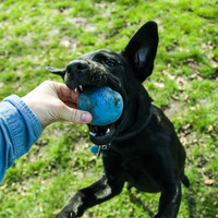 Beco Ball Beco Beco Ball