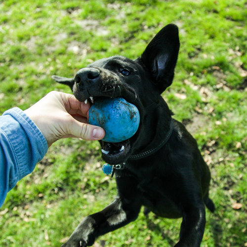 Beco Rubber Ball