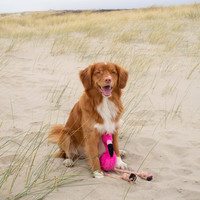 Beco Plush Toy - Rough & Though Beco Pets Beco Plush Toy - Rough & Though