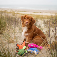 Beco Recycled Soft Toy - Fernando der Flamingo Beco Beco Recycled Soft Toy - Fernando der Flamingo
