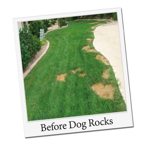 Dogrocks Dog Rocks Natur-Steine
