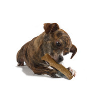 Petstages Dogwood Durable Stick