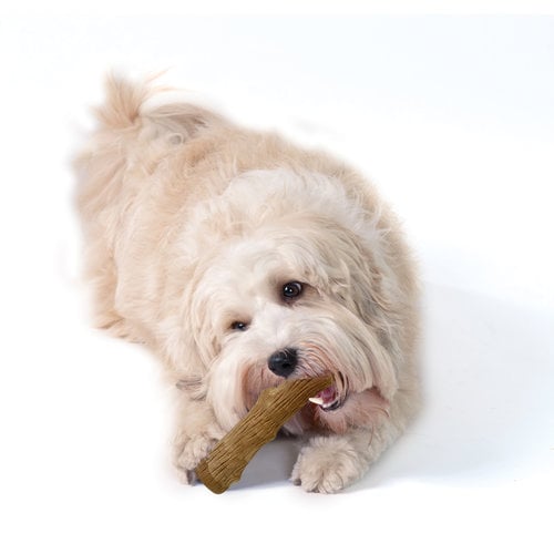 Petstages Dogwood Durable Stick