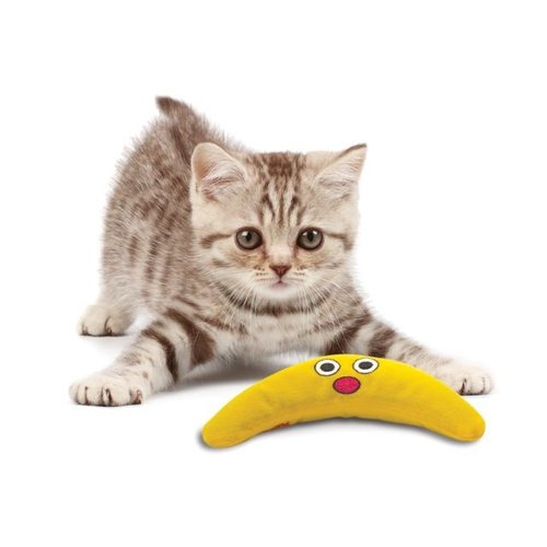 Petstages Catnip Boomerang Buddy