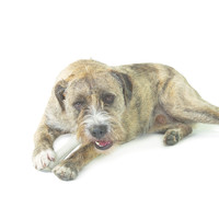 Deerhorn Large Petstages Deerhorn Large