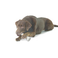 Deerhorn Large Petstages Deerhorn Large