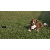 Einziehbare Stahl-Rollleine - Large Petstages Einziehbare Stahl-Rollleine - Large