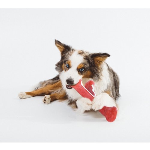 Petstages Wishbone