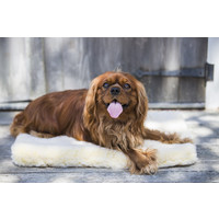 HuggleHounds® Fleece Mat HuggleHounds® HuggleHounds® Fleece Mat