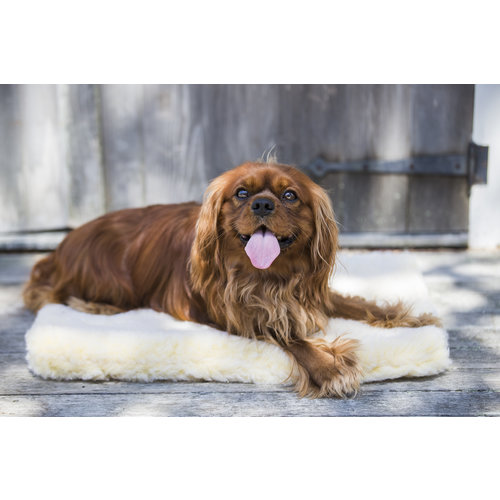 HuggleHounds® HuggleFleece Mat