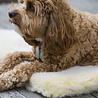 HuggleGroup - HuggleFleece Mat HuggleGroup - HuggleFleece Mat
