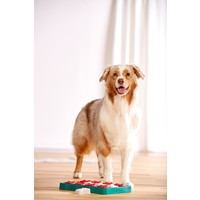 Dog Brick Blauw Outward Hound Dog Brick Blauw