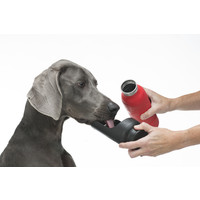 Kong H2O Insulated Water Bottle - 700 ML