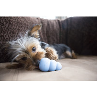 PUPPY KONG KONG PUPPY KONG