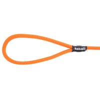 Rebel Petz Training Leash