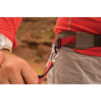 Kurgo K9 Excursion Running Belt