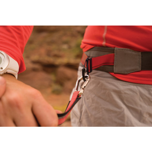 Kurgo K9 Excursion Running Belt