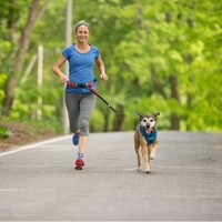 Kurgo K9 Excursion Laufgürtel Kurgo Kurgo K9 Excursion Laufgürtel