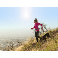 Kurgo K9 Excursion Laufgürtel Kurgo Kurgo K9 Excursion Laufgürtel