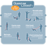 Kurgo Quantum 6-in-1 Dog Leash