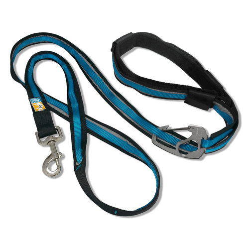 Kurgo Quantum 6-in-1 Dog Leash