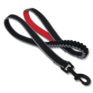 Springback Leash