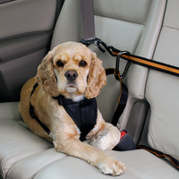 Kurgo - Auto Zip Line For Dogs Kurgo Kurgo - Auto Zip Line For Dogs