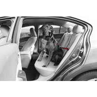 Kurgo - Swivel Tether Kurgo Kurgo - Swivel Tether