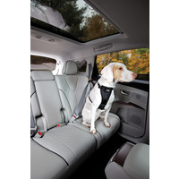 Kurgo Dog Seatbelt Loop