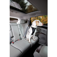 Kurgo - Seatbelt Tether with Carabiner Kurgo Kurgo - Seatbelt Tether with Carabiner