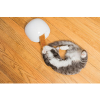 PetSafe Fox Den Toy Automatic Cat Teaser