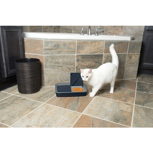 PetSafe Digital Two Meal Pet Feeder