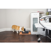 Petsafe® Digital Two Meal Pet Feeder PetSafe Petsafe® Digital Two Meal Pet Feeder