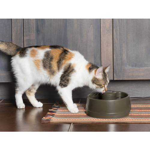 Drinkwell® Current Pet Fountain